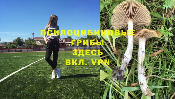 герыч Алексеевка